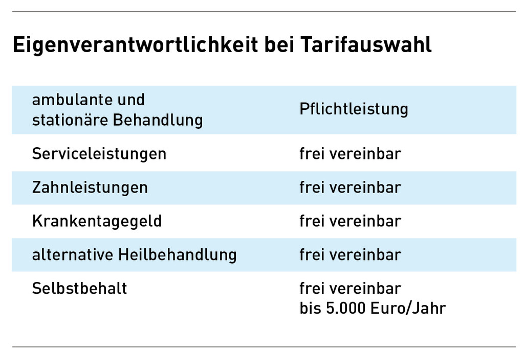 file-preview-infografik-tarifauswahl