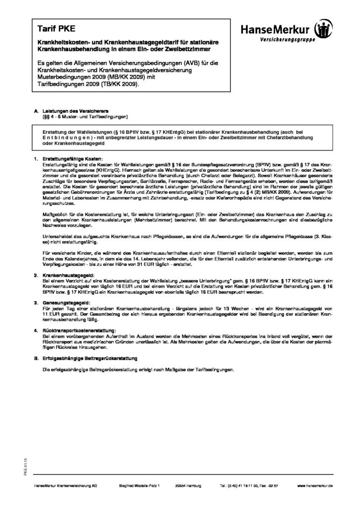 hc consulting AG