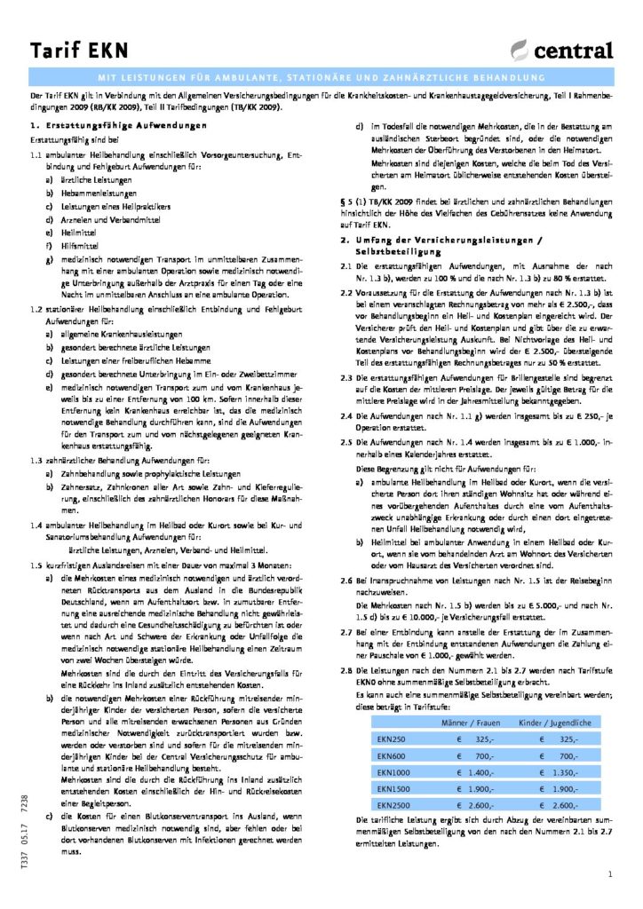 hc consulting AG