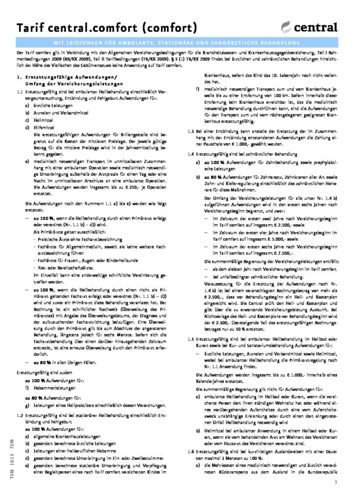 hc consulting AG