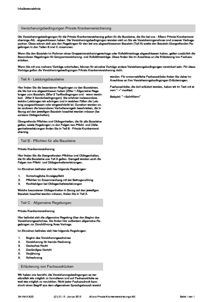 hc consulting AG
