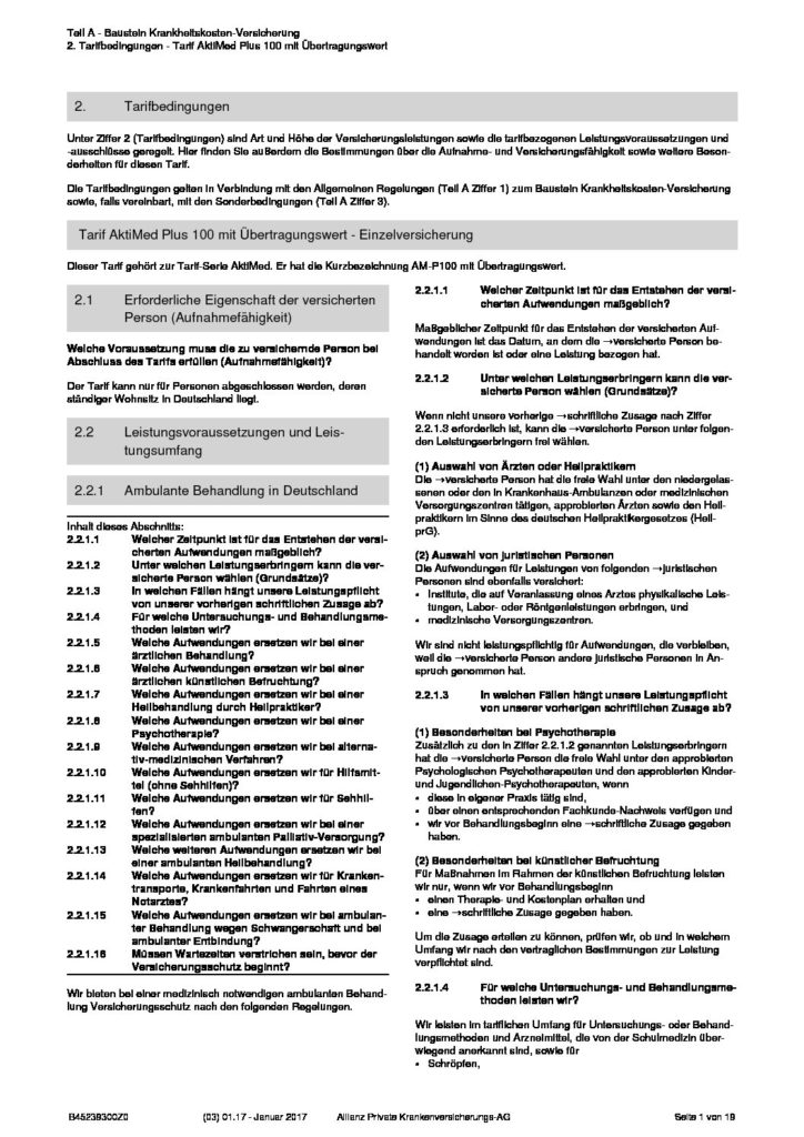hc consulting AG