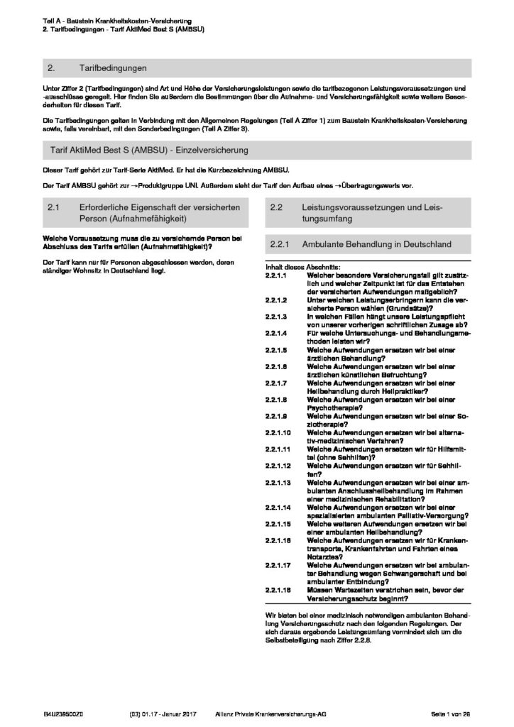 hc consulting AG