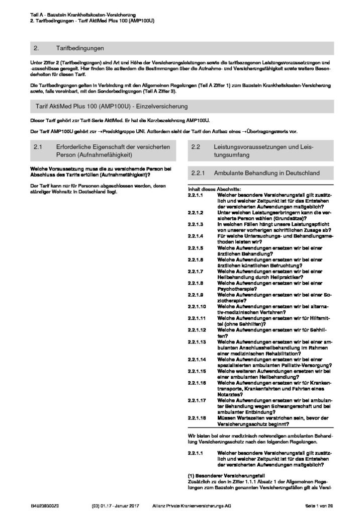 hc consulting AG