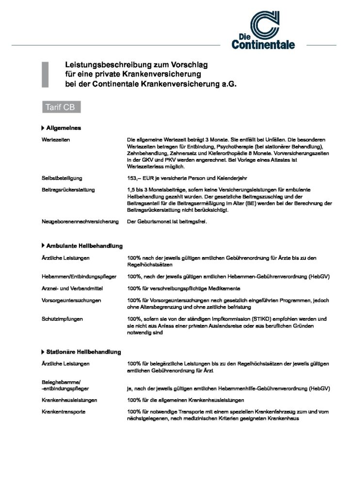 hc consulting AG