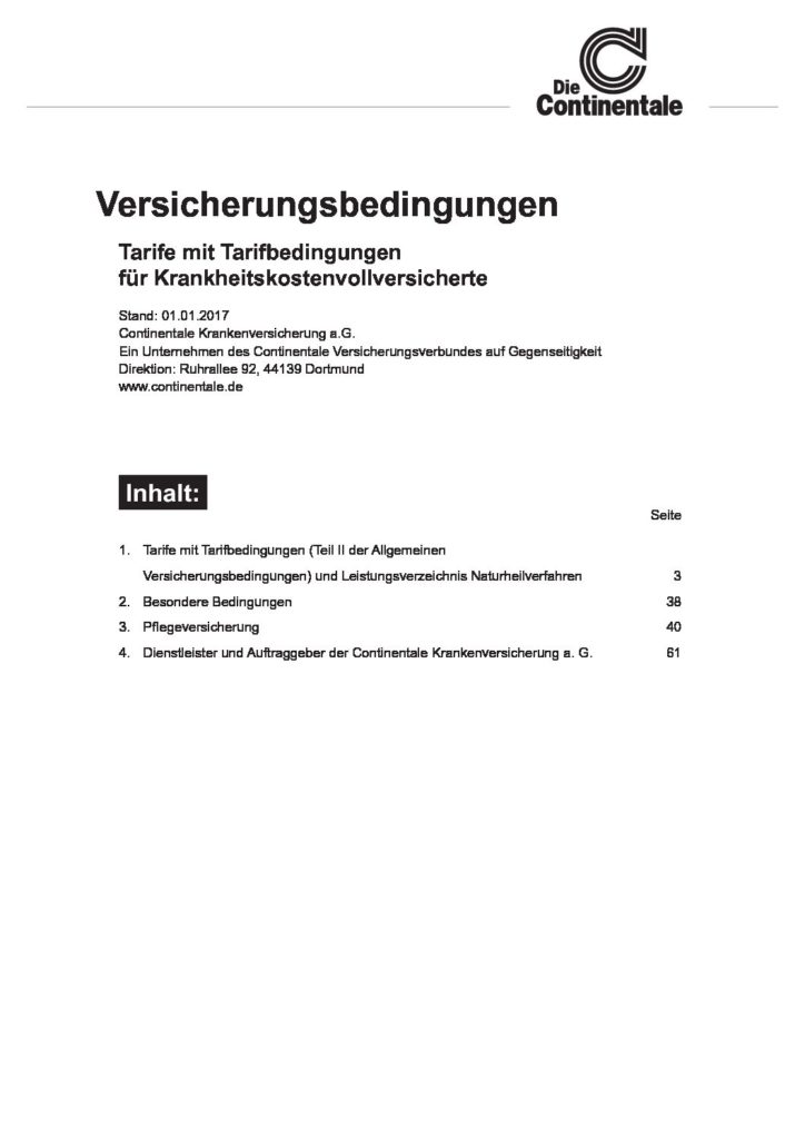 hc consulting AG