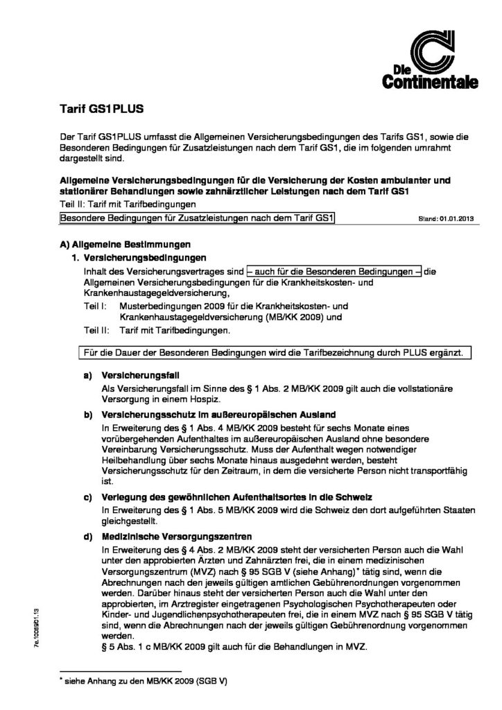 hc consulting AG