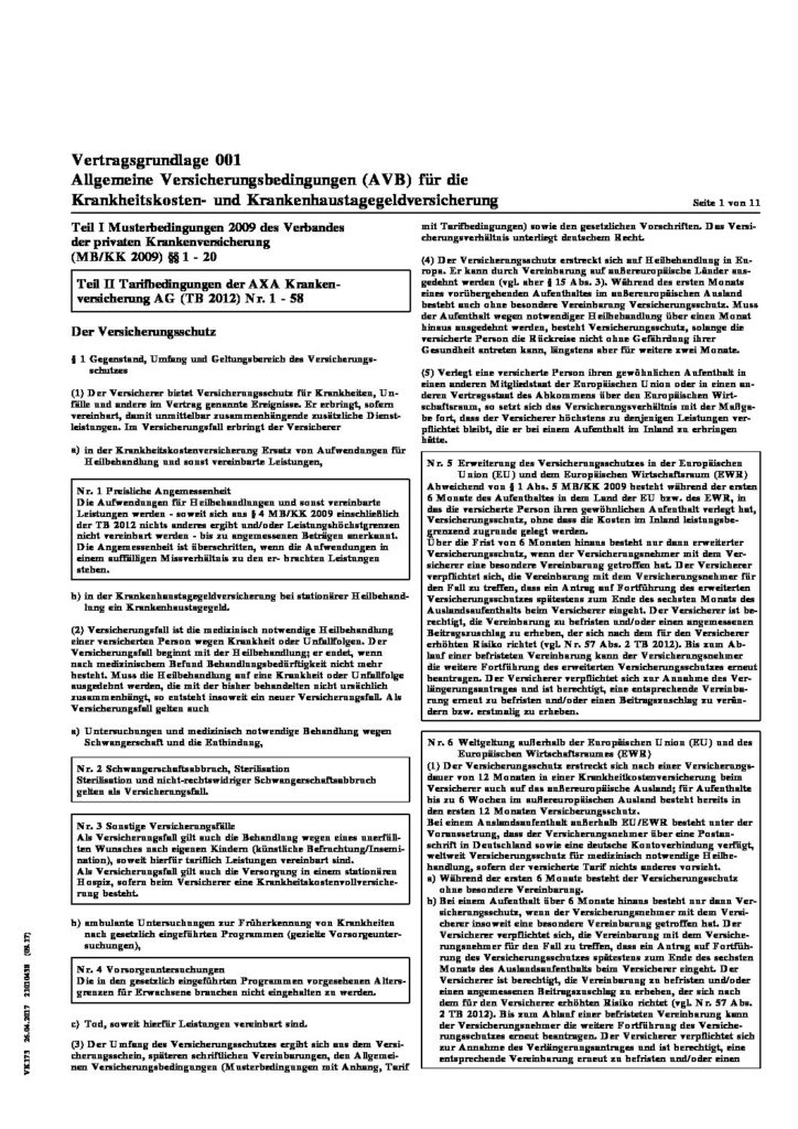 hc consulting AG