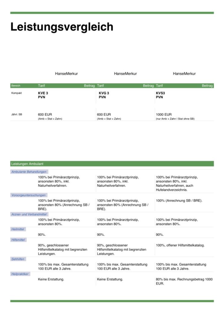 hc consulting AG