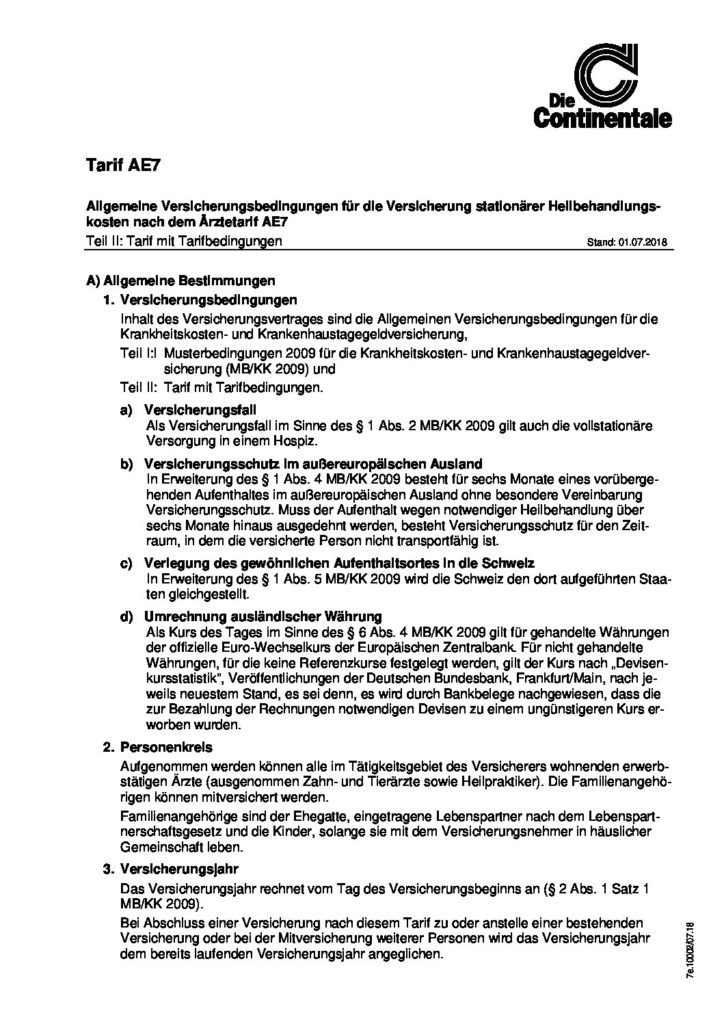 hc consulting AG