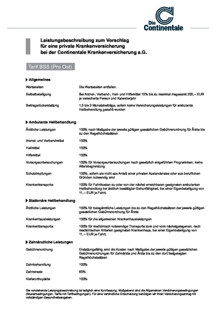 hc consulting AG
