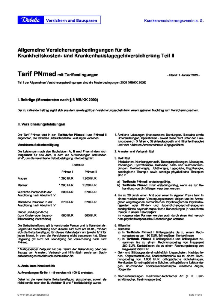 hc consulting AG