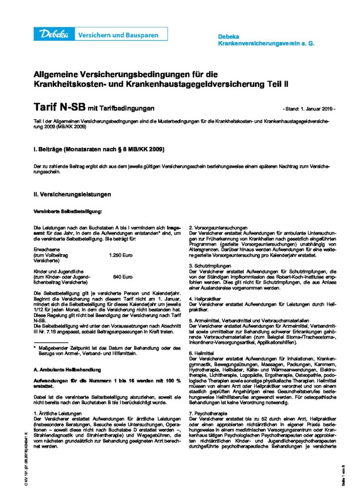 hc consulting AG