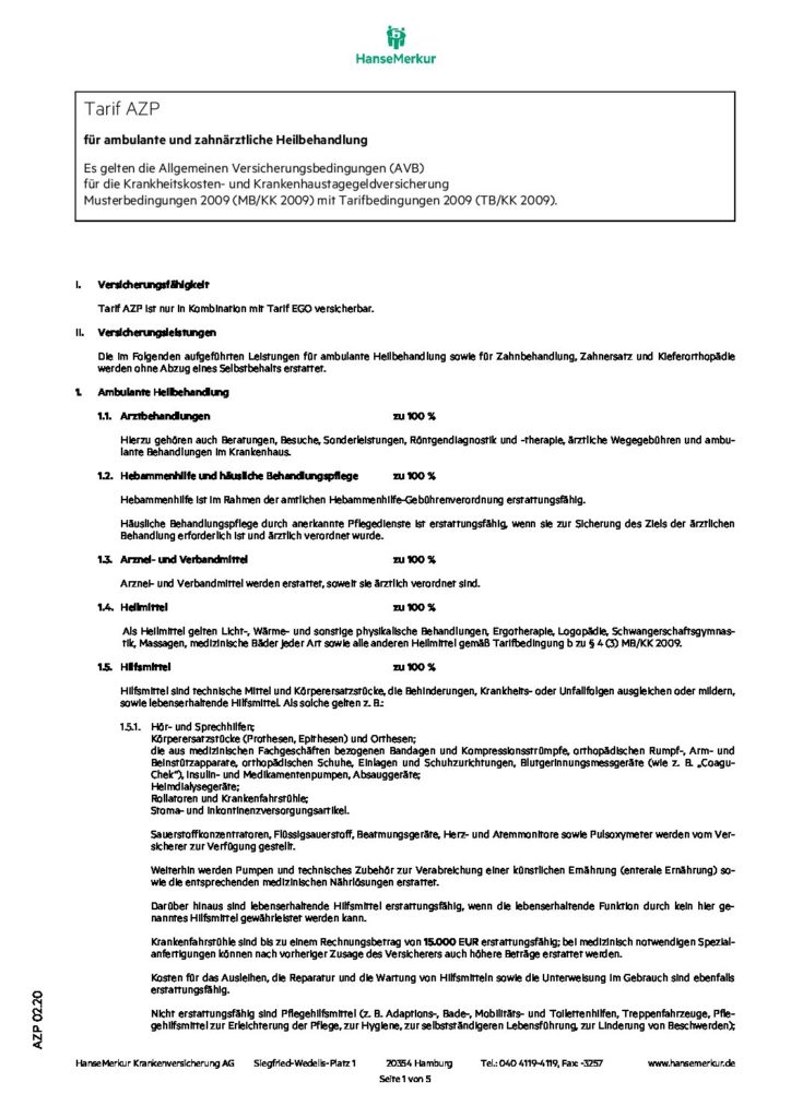 hc consulting AG