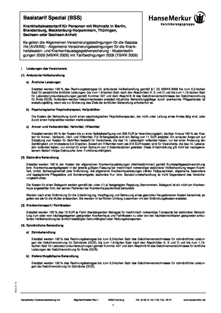hc consulting AG