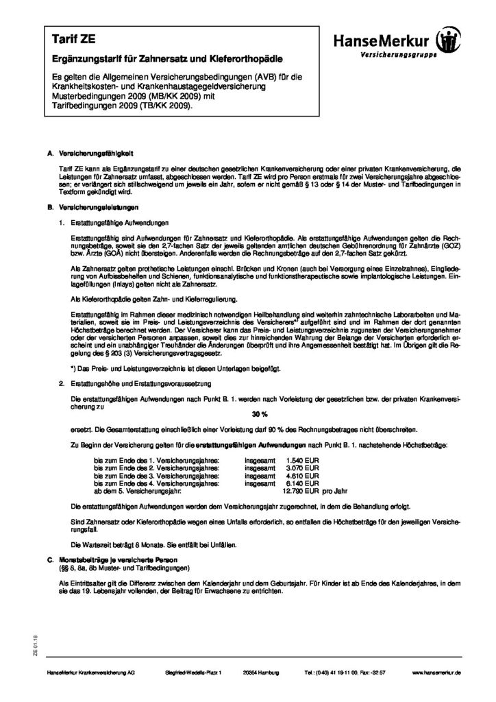 hc consulting AG