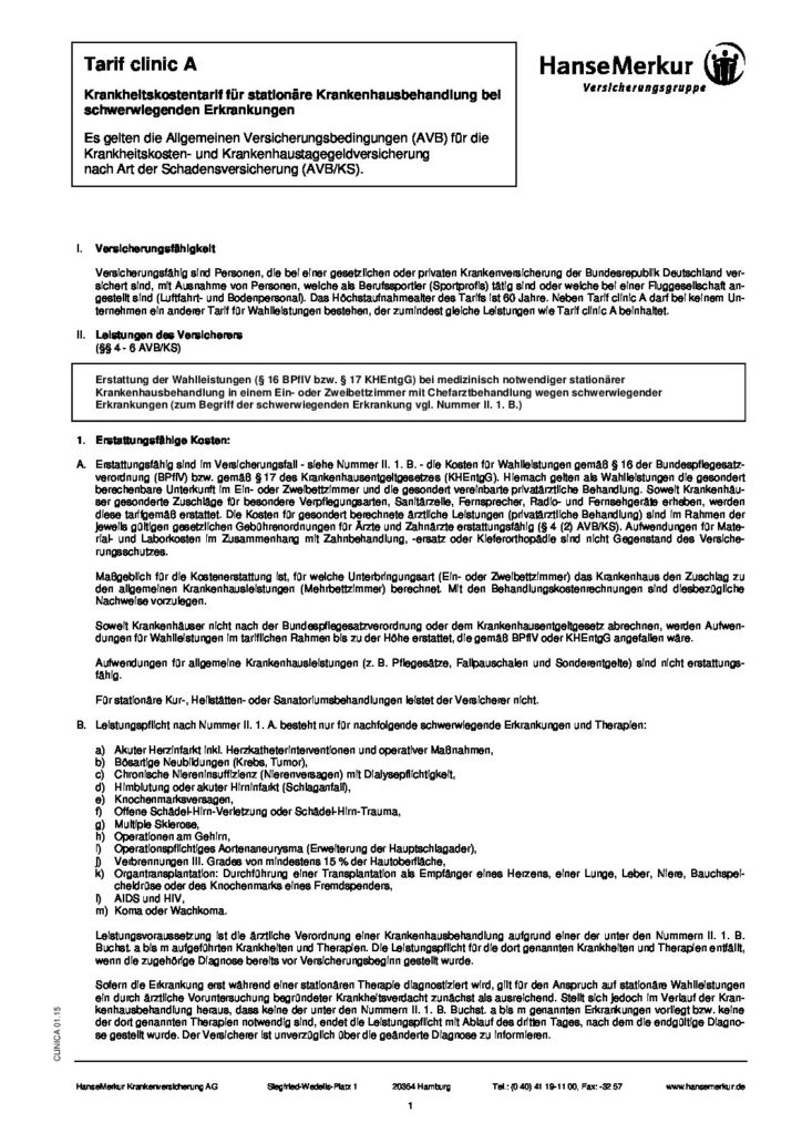 hc consulting AG