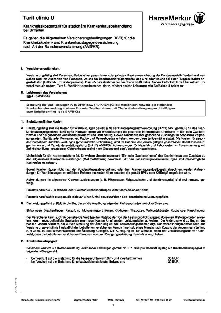 hc consulting AG
